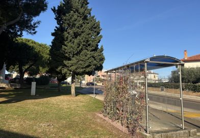 Završen projekt ozelenjivanja autobusnih stajališta na području Općine Medulin Završen projekt ozelenjivanja autobusnih stajališta na području Općine Medulin