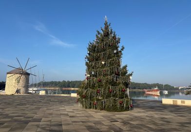 Obitelj Čuturilo darovala božićni bor za medulinsku rivu Obitelj Čuturilo darovala božićni bor za medulinsku rivu