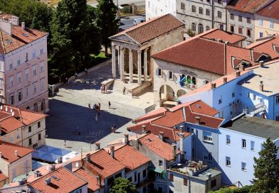 Grad Pula – Pola provodi mjere za sprječavanje štete od divljači zbog njihove povećane prisutnosti